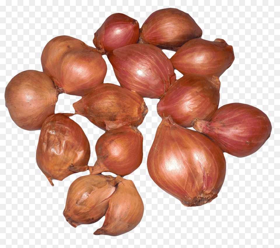 Onion Shallots Food, Produce, Plant, Shallot Png Image