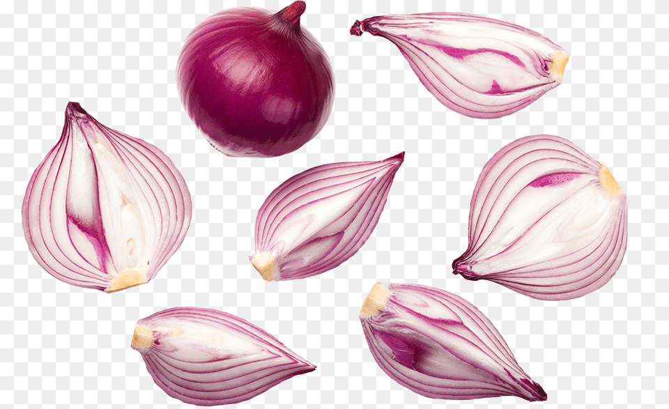 Onion Top View, Food, Produce, Plant, Vegetable Png Image