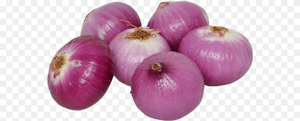 Onion Fresh Onion, Food, Produce, Plant, Vegetable Free Transparent Png
