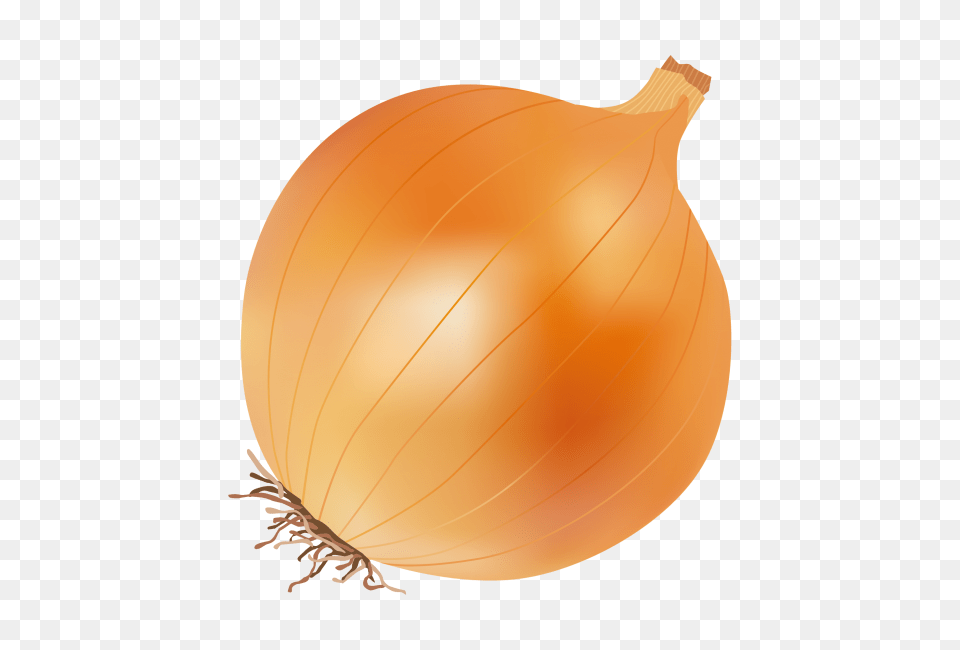 Onion Transparent Image, Vegetable, Produce, Plant, Food Free Png