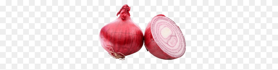 Onion Transparent Images, Produce, Food, Vegetable, Plant Free Png