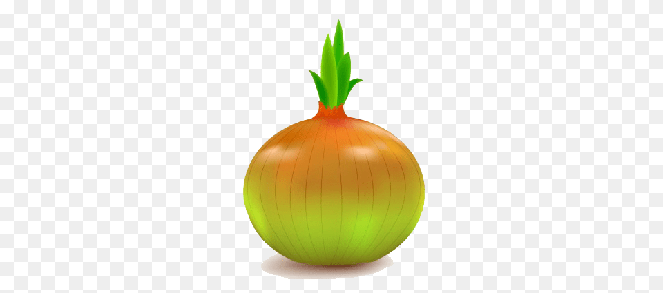 Onion Vector, Food, Produce, Plant, Vegetable Free Transparent Png