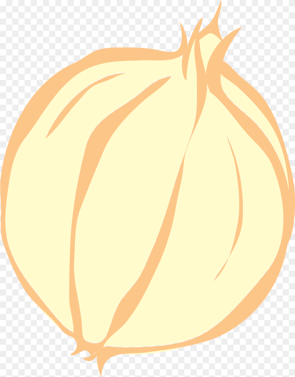 Onion Vector Clip Art Garlic, Food, Produce, Animal, Fish Free Png