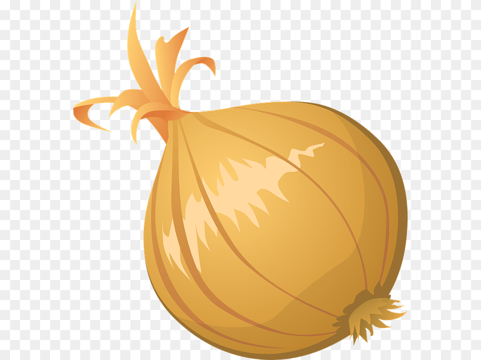 Onion Vector Clipart Onion Clip Art, Food, Produce, Plant, Vegetable Free Png