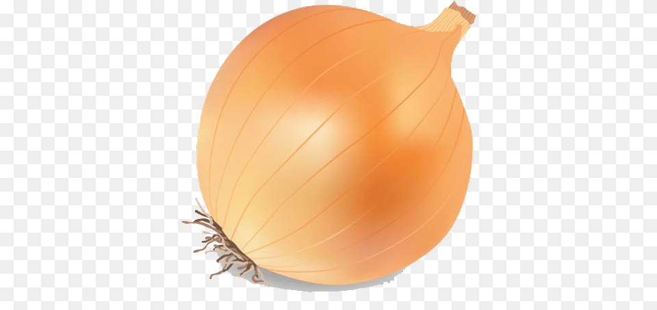 Onion Vector Transparent Image Transparent Background Onion Vector, Food, Produce, Vegetable, Plant Free Png Download