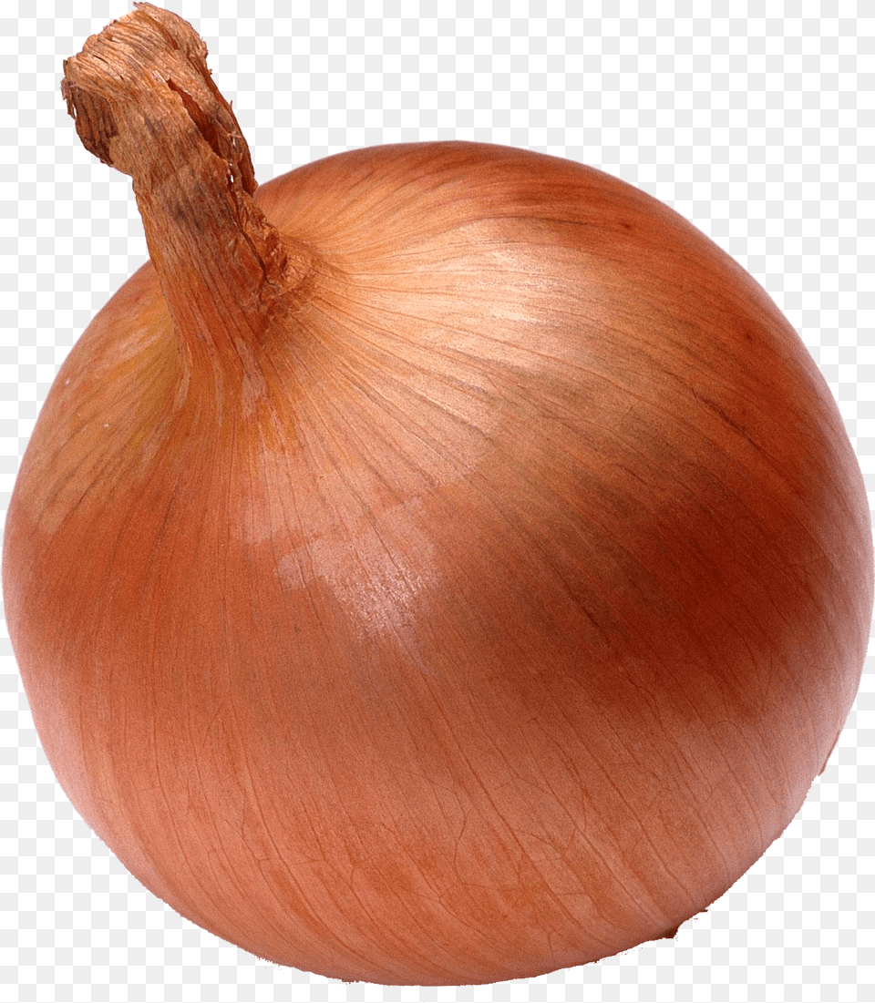 Onion Vegetable Seed Watermelon Onion, Food, Plant, Produce, Shallot Free Transparent Png