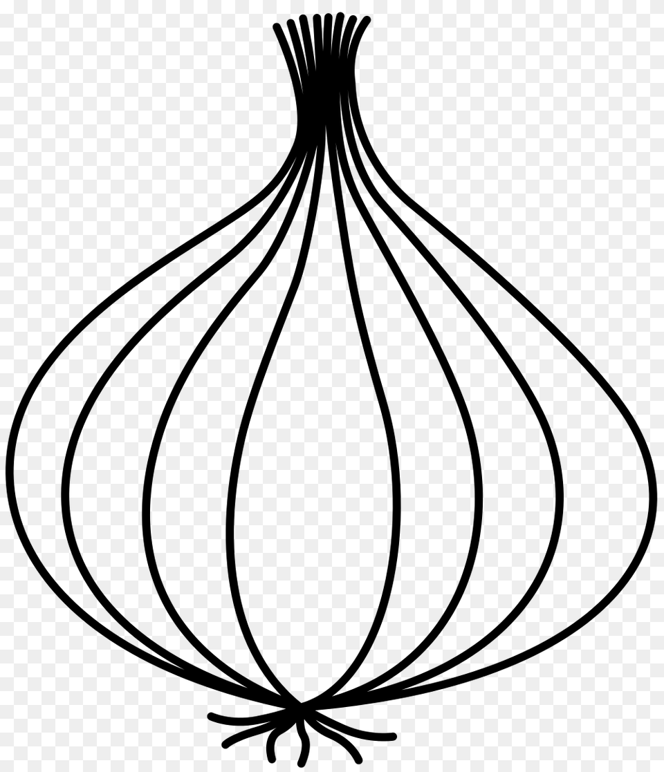 Oniondraw, Gray Png Image