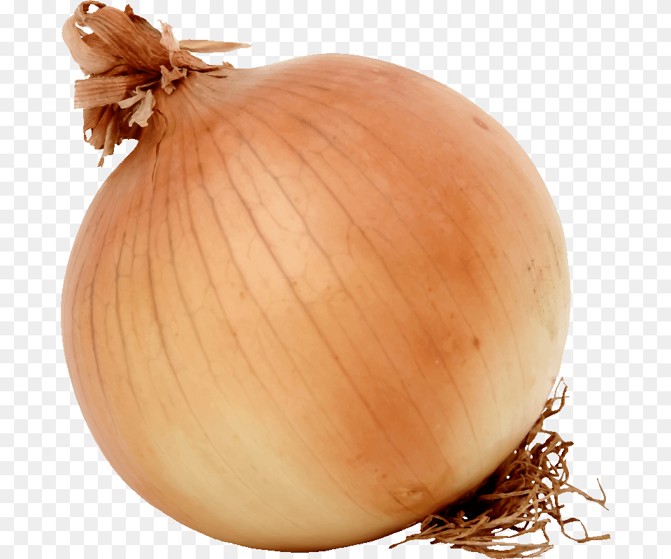 Onionfoodwinter Squash Onion Clipart, Food, Produce, Plant, Vegetable Png Image