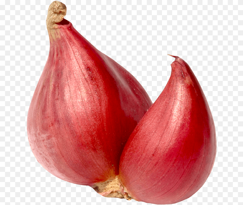Onions Clipart, Food, Produce, Onion, Plant Png Image