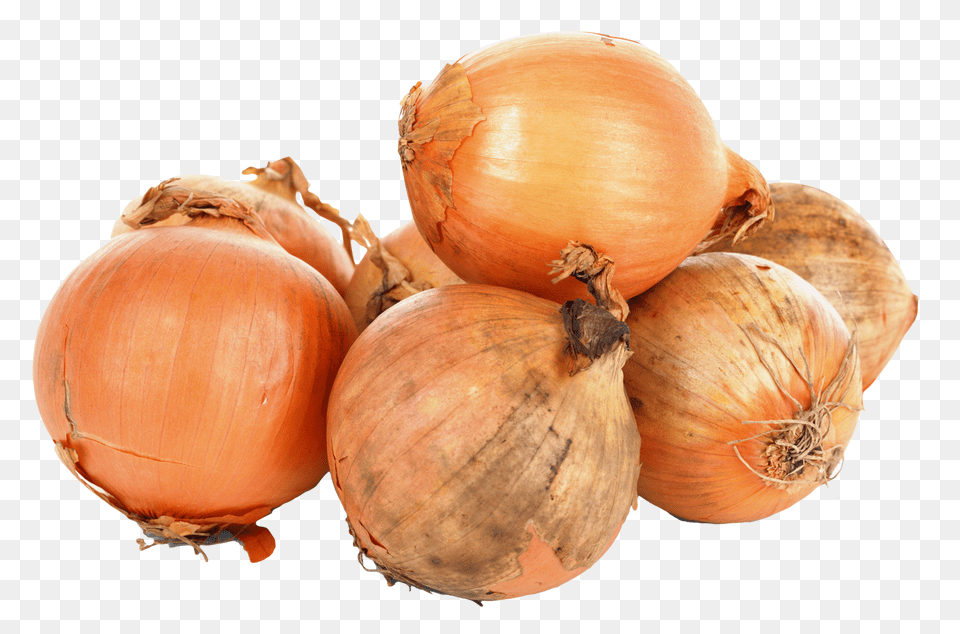 Onions Image, Food, Produce, Onion, Plant Free Png