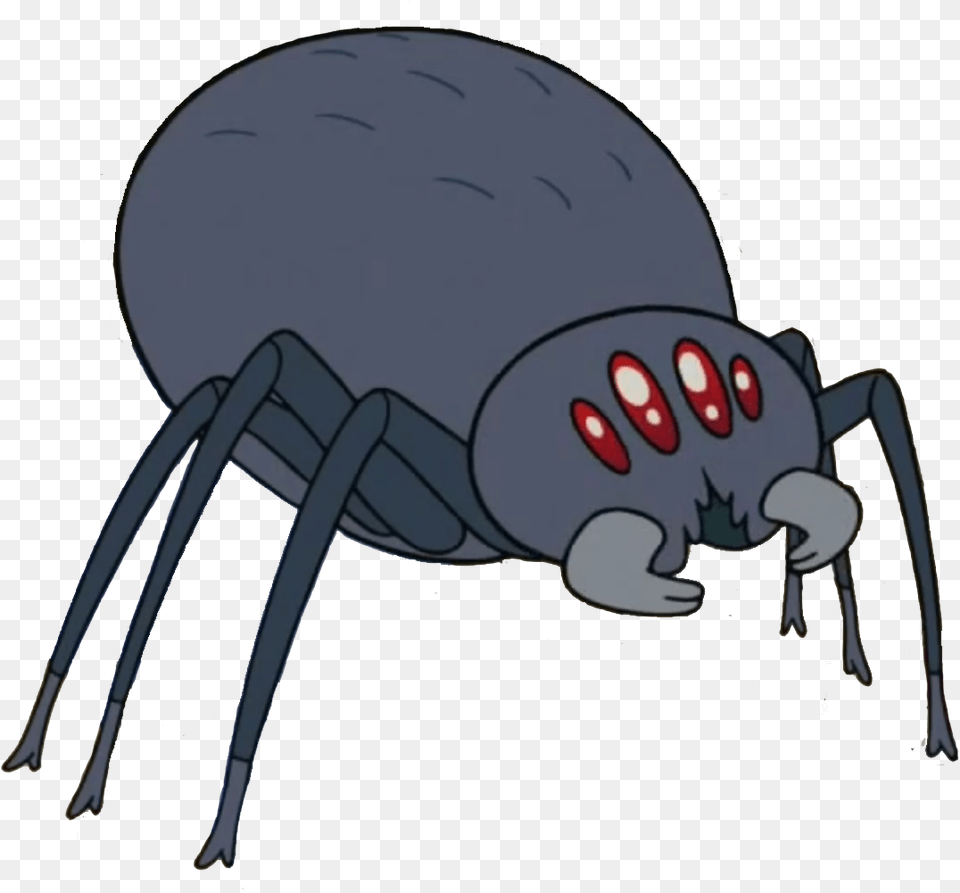 Oniscidea, Animal, Invertebrate, Person, Spider Png