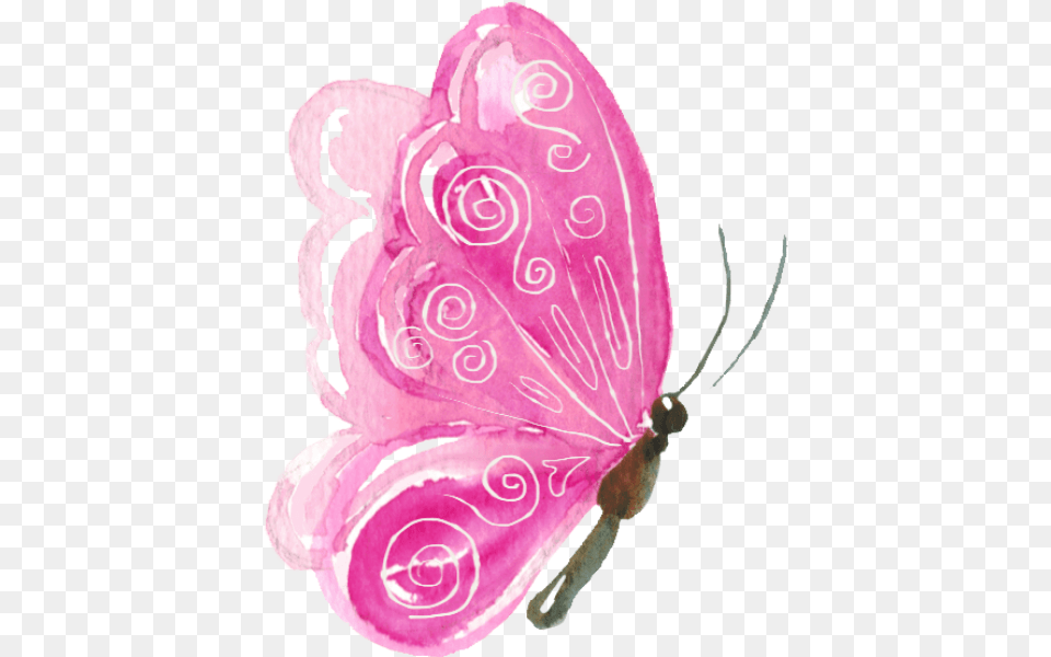 Online Butterfly Animal Watercolor Painting Vector For Pink Butterfly Watercolor Vector, Flower, Petal, Plant Free Png Download