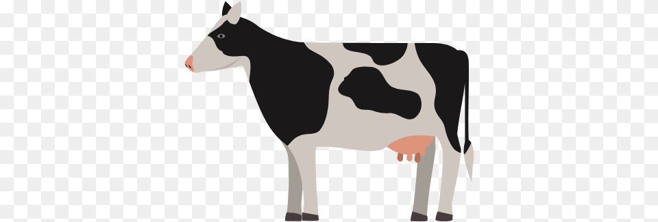 Online Courses Cooperative Extension University Of Delaware Animal Figure, Cattle, Cow, Dairy Cow, Livestock Free Png Download