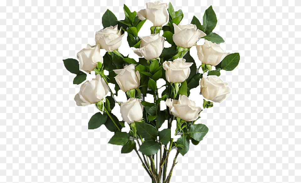 Online Flower Delivery In Pakistan, Flower Arrangement, Flower Bouquet, Plant, Rose Free Png