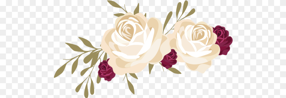 Online Flowers Plants Flower Plant Vector For Maroon And White Flower, Art, Floral Design, Graphics, Pattern Free Transparent Png