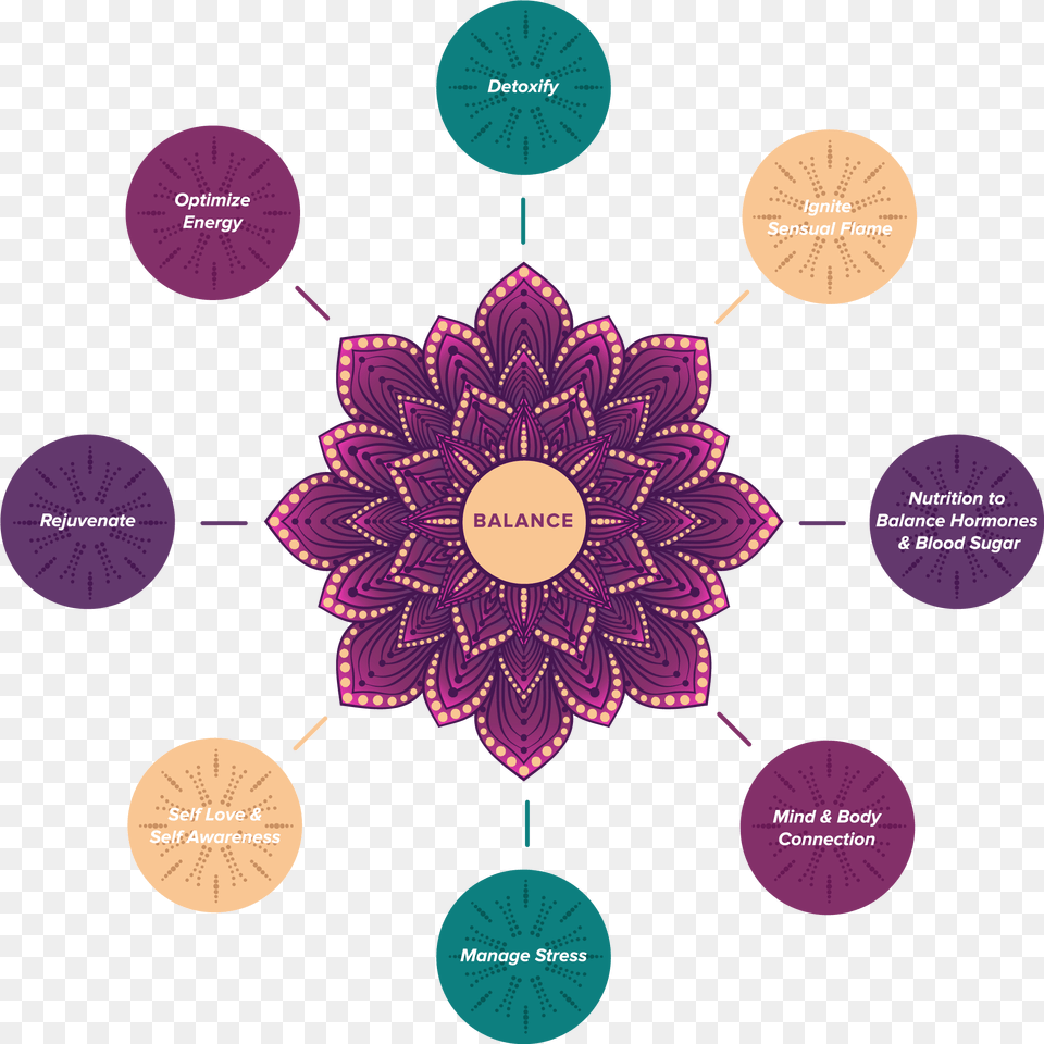 Online Health And Detox Program Decorative, Dahlia, Flower, Plant, Purple Free Transparent Png