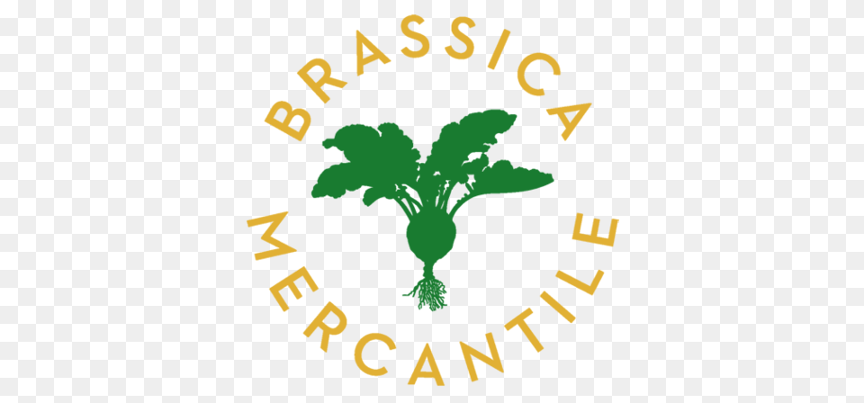 Online Homewares Brassica Mercantile, Leaf, Plant, Vegetation, Green Free Png Download