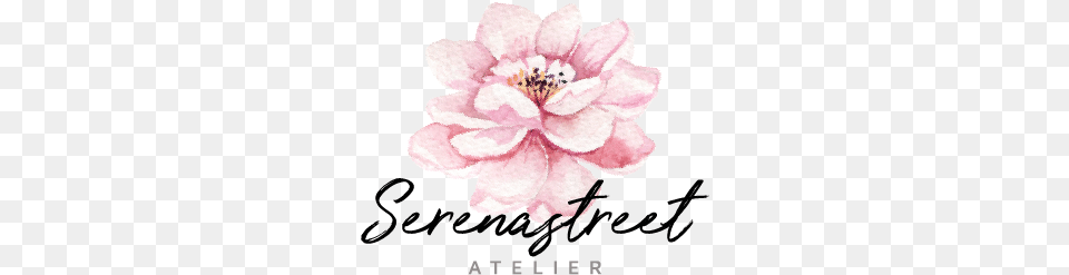 Online Logo Maker Logos De Empresas Aquarela, Anther, Dahlia, Flower, Petal Free Png Download