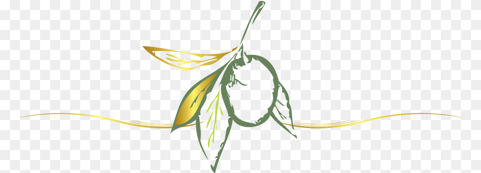 Online Olive Logo Design Food Logo Maker Olive, Animal, Bee, Insect, Invertebrate Free Png