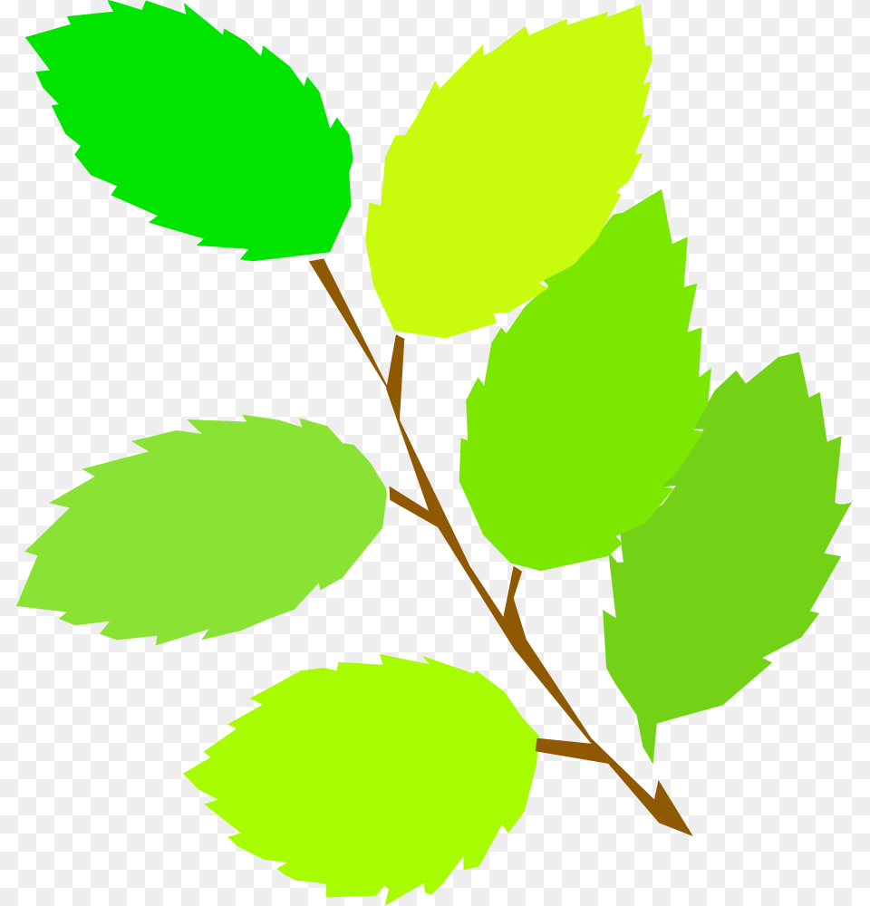 Onlinelabels Clip Art, Herbal, Herbs, Leaf, Plant Free Png