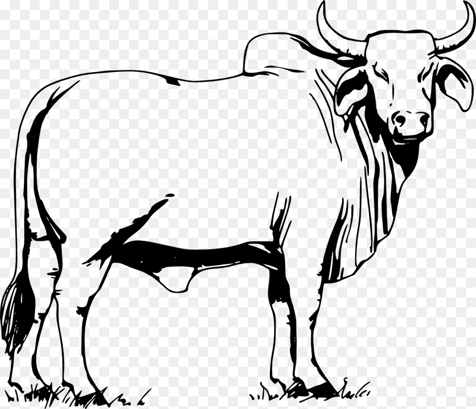 Onlinelabels Clip Art, Animal, Bull, Mammal, Cattle Free Transparent Png
