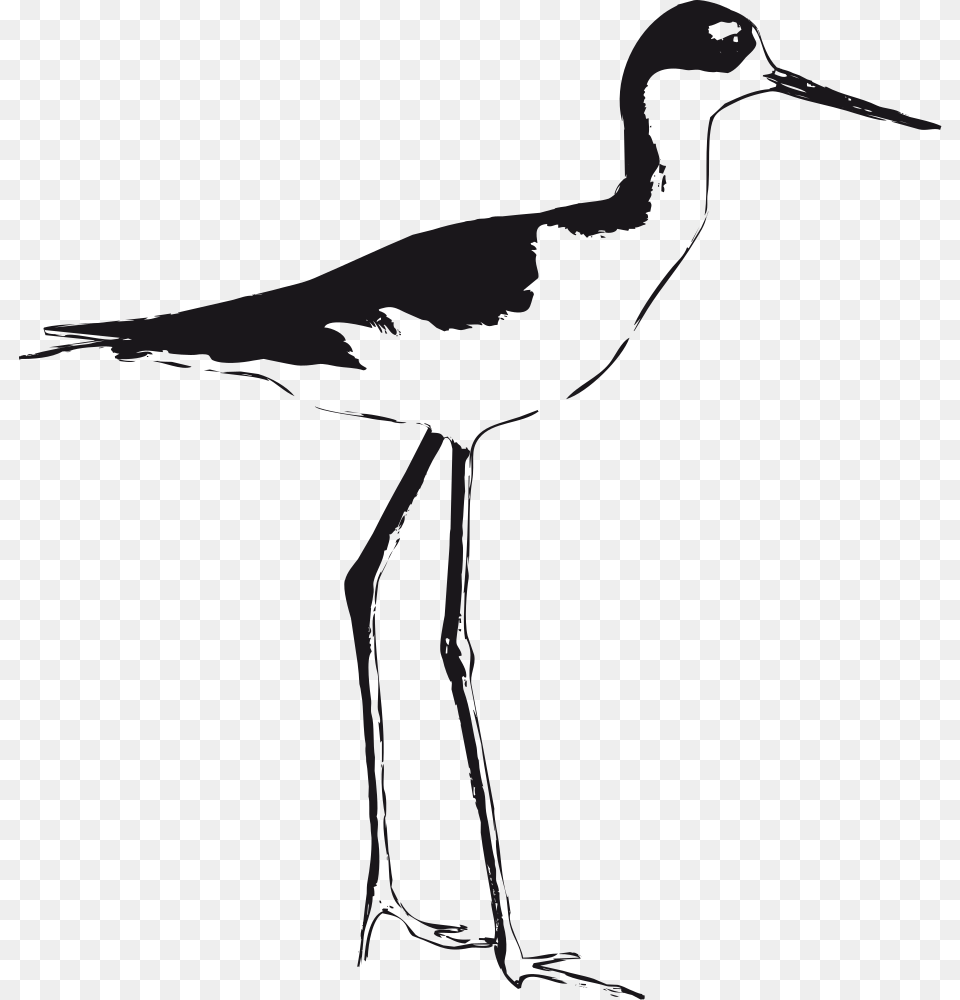 Onlinelabels Clip Art, Animal, Bird, Crane Bird, Waterfowl Free Png Download