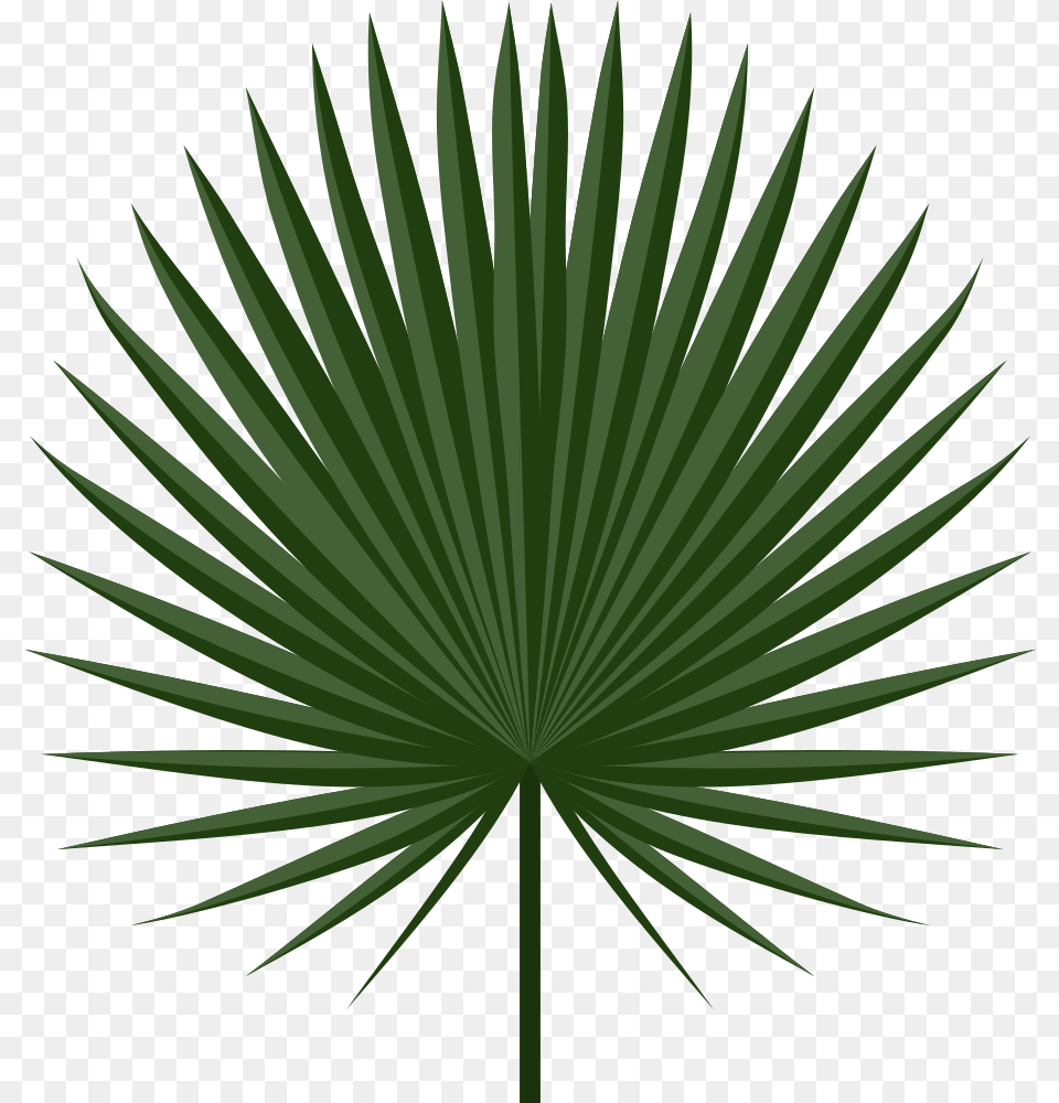 Onlinelabels Clip Art, Green, Leaf, Palm Tree, Plant Free Png Download