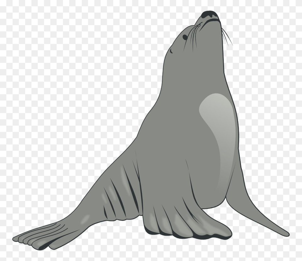 Onlinelabels Clip Art, Animal, Mammal, Sea Life, Sea Lion Png Image