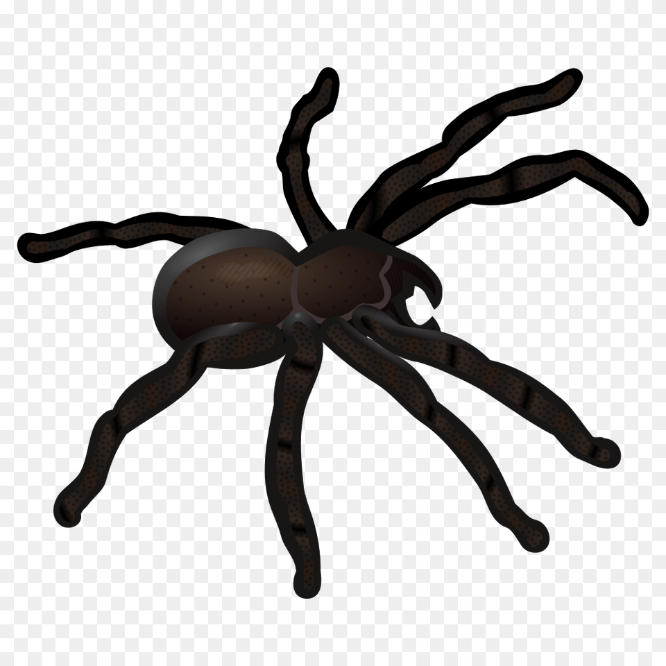 Onlinelabels Clip Art, Animal, Invertebrate, Spider, Bow Free Png Download