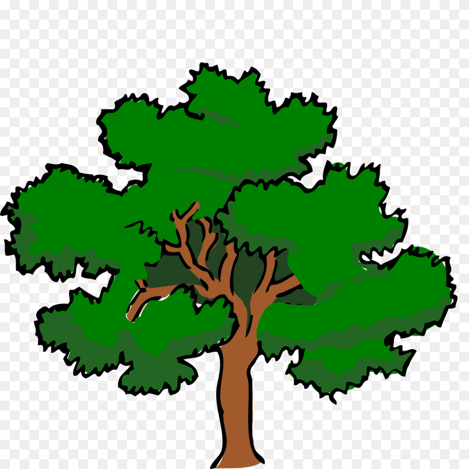 Onlinelabels Clip Art, Oak, Plant, Sycamore, Tree Free Transparent Png