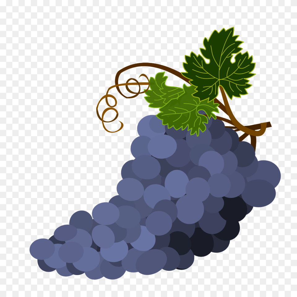 Onlinelabels Clip Art, Food, Fruit, Grapes, Plant Png Image
