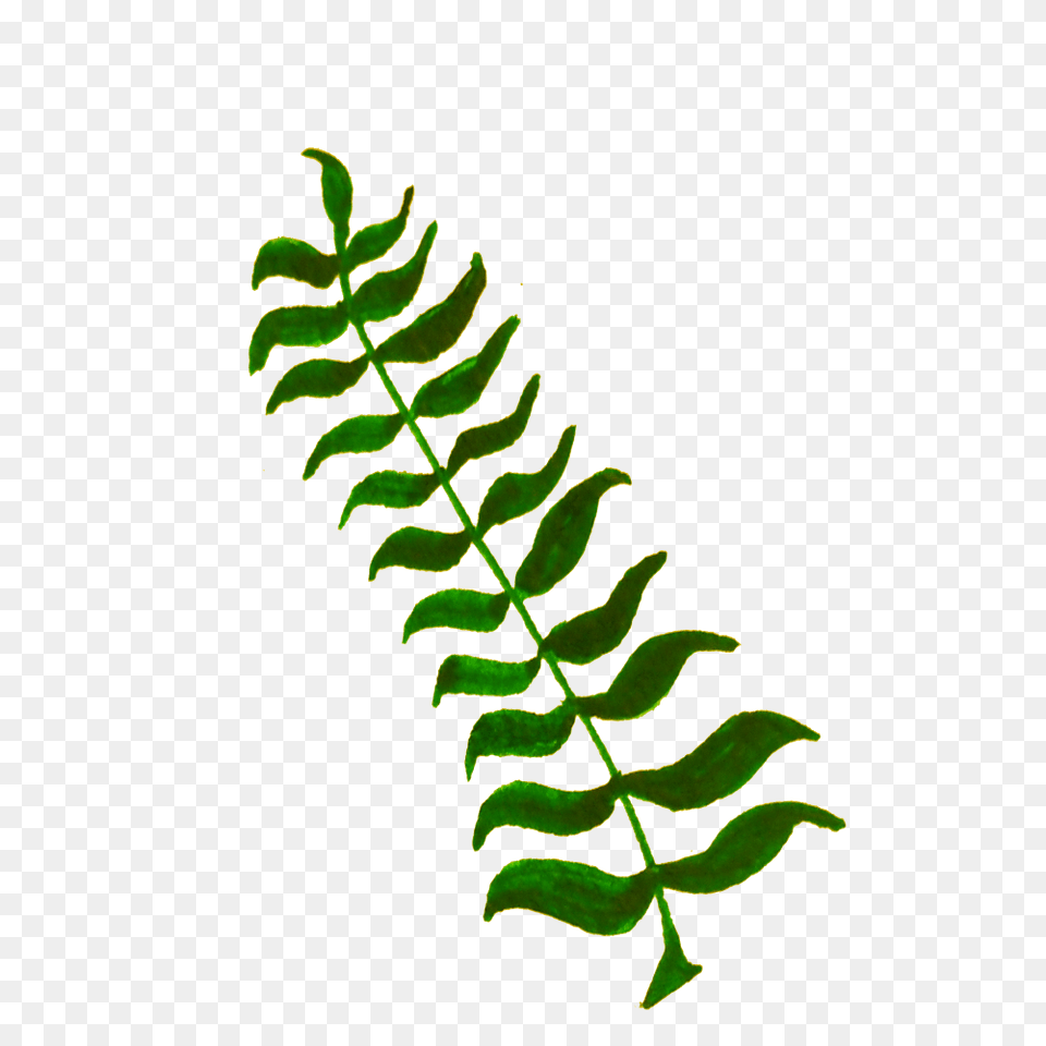 Onlinelabels Clip Art, Fern, Leaf, Plant Free Png Download