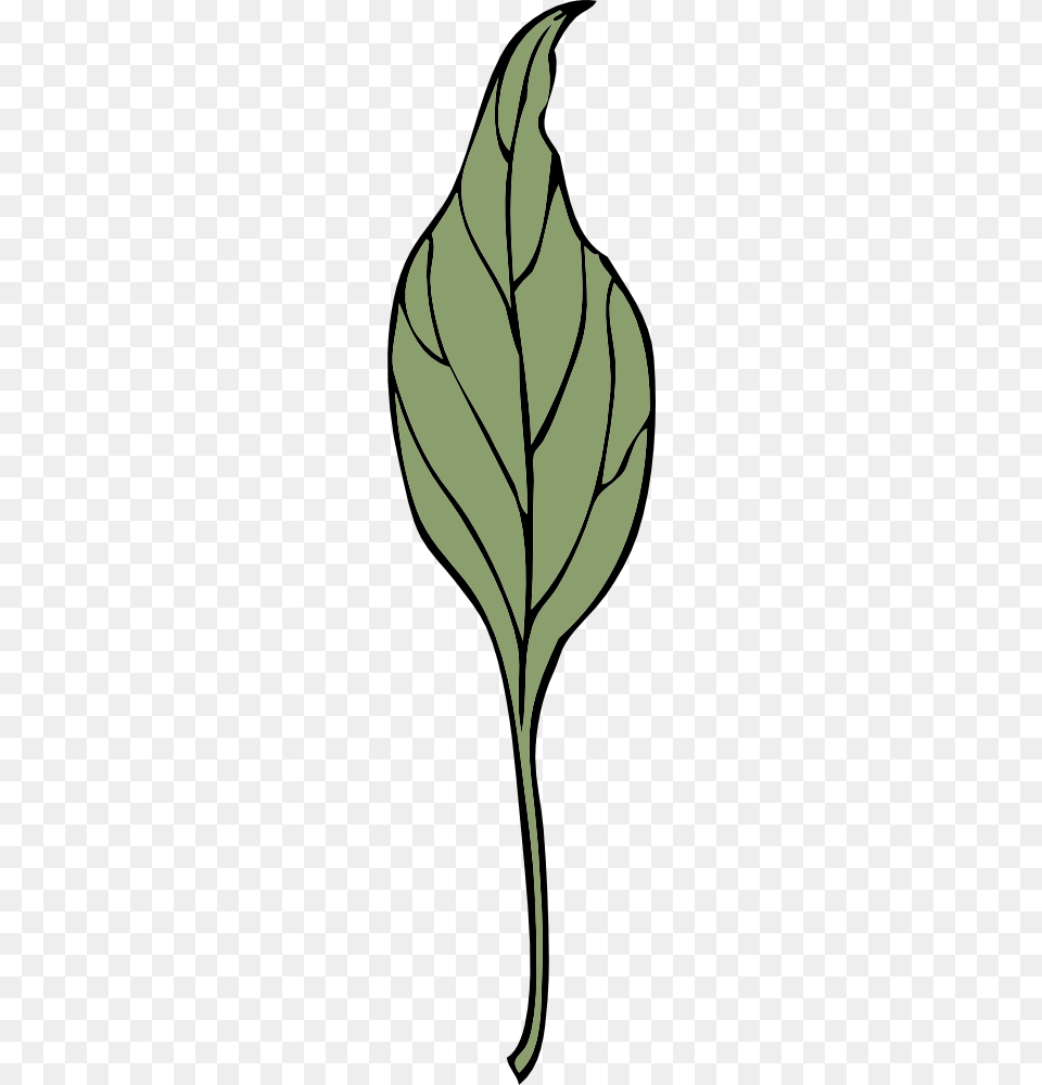 Onlinelabels Clip Art, Leaf, Plant, Food, Leafy Green Vegetable Png