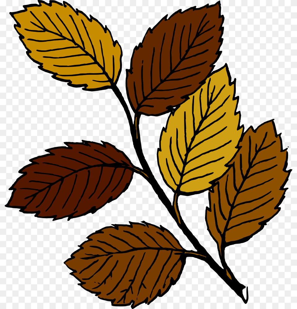 Onlinelabels Clip Art, Leaf, Plant, Herbal, Herbs Free Png Download