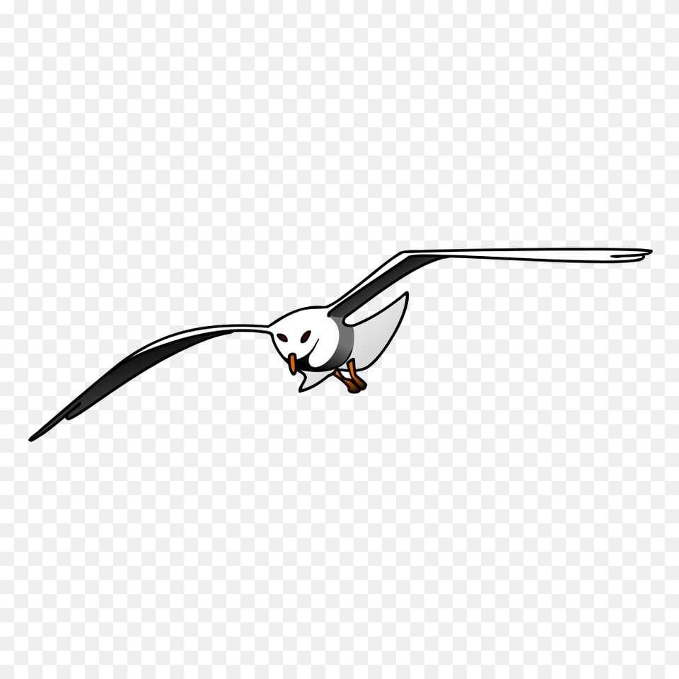 Onlinelabels Clip Art, Animal, Bird, Flying, Seagull Free Png Download