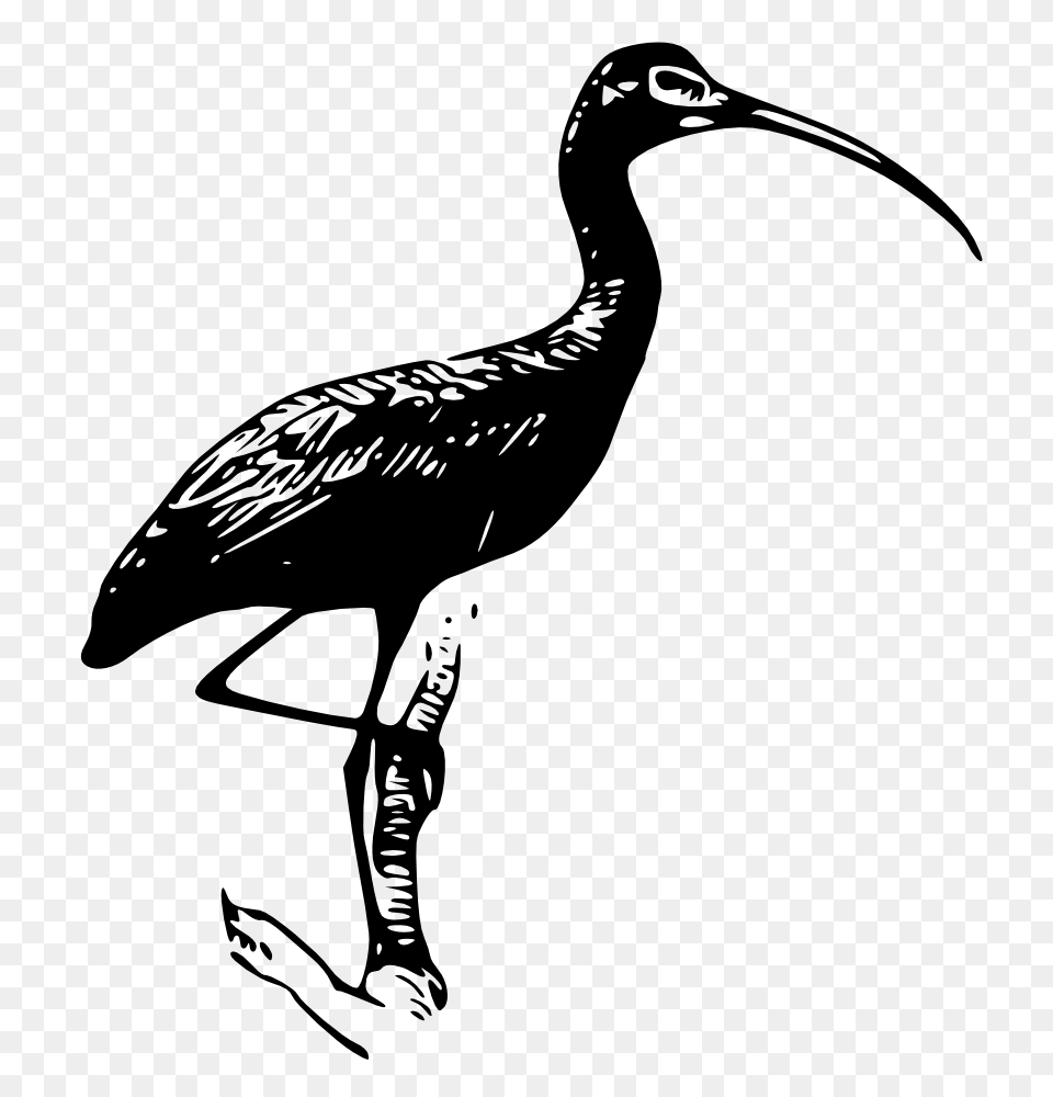 Onlinelabels Clip Art, Animal, Beak, Bird, Crane Bird Free Png