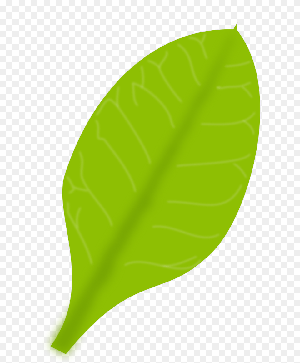 Onlinelabels Clip Art, Leaf, Plant Free Png Download