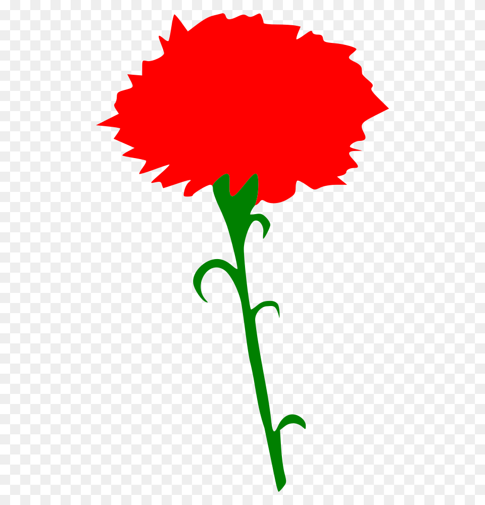 Onlinelabels Clip Art, Carnation, Flower, Plant, Person Free Transparent Png