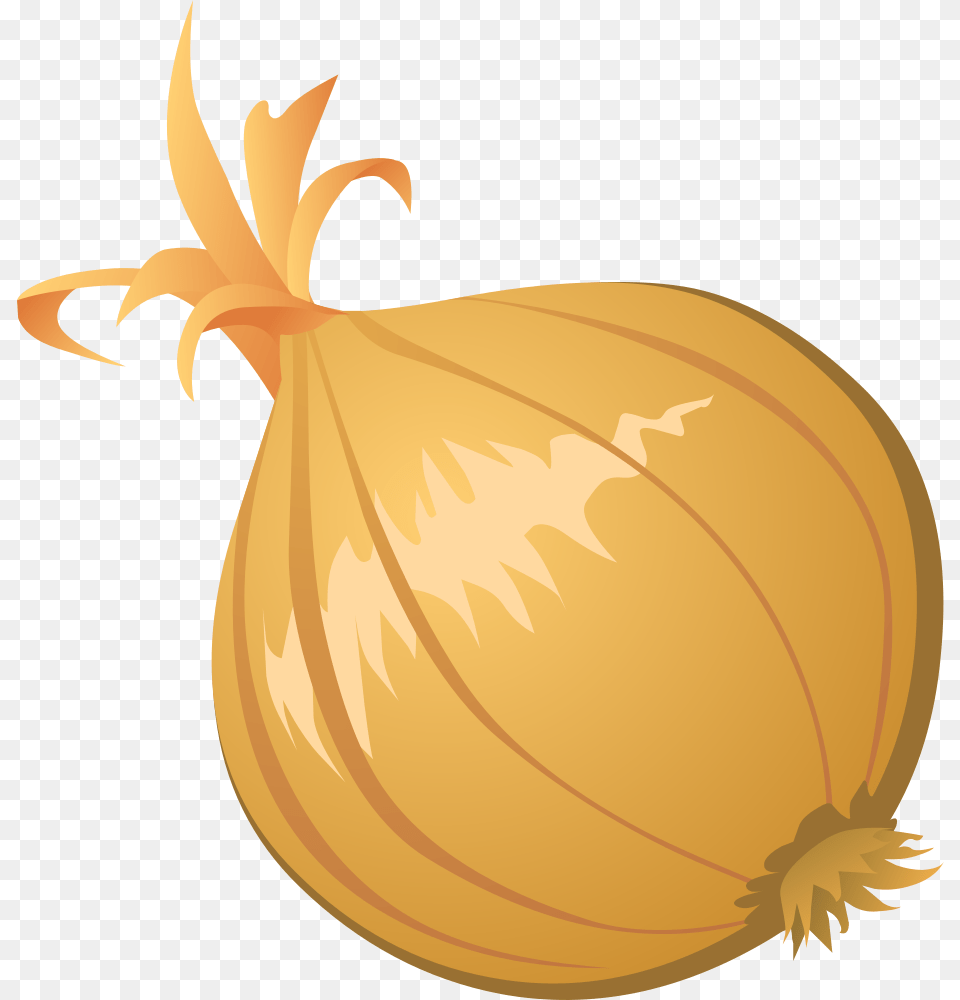 Onlinelabels Clip Art, Food, Produce, Onion, Plant Png