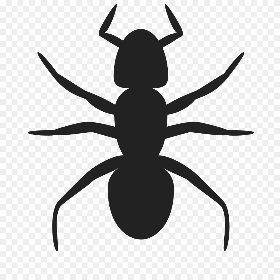 Onlinelabels Clip Art, Animal, Ant, Insect, Invertebrate Free Png Download