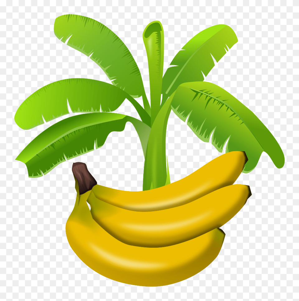 Onlinelabels Clip Art, Banana, Food, Fruit, Plant Free Png