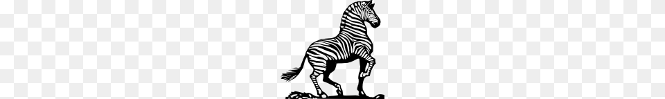 Onlinelabels Clip Art, Animal, Mammal, Wildlife, Zebra Free Transparent Png