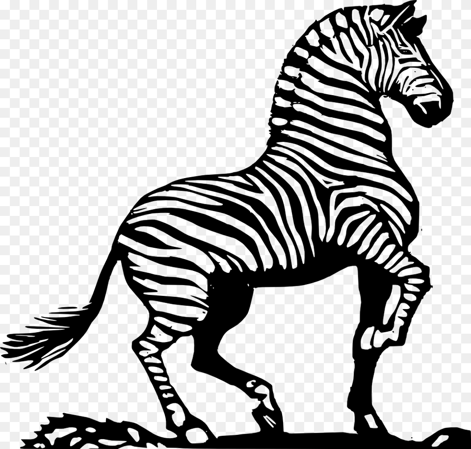 Onlinelabels Clip Art, Animal, Mammal, Wildlife, Zebra Free Transparent Png