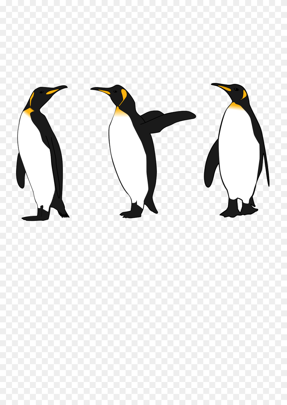 Onlinelabels Clip Art, Animal, Bird, Penguin, King Penguin Png