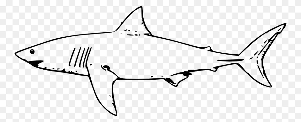 Onlinelabels Clip Art, Animal, Fish, Sea Life, Shark Png Image