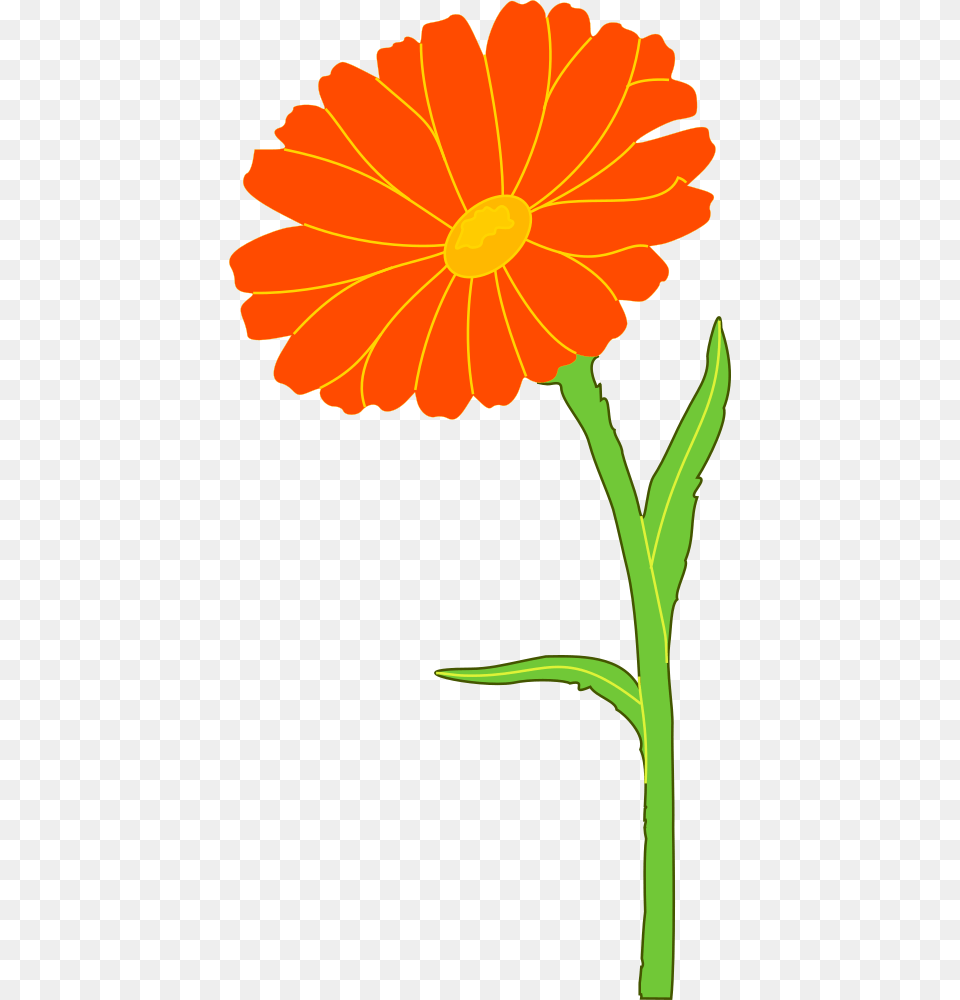 Onlinelabels Clip Art, Daisy, Flower, Petal, Plant Png Image