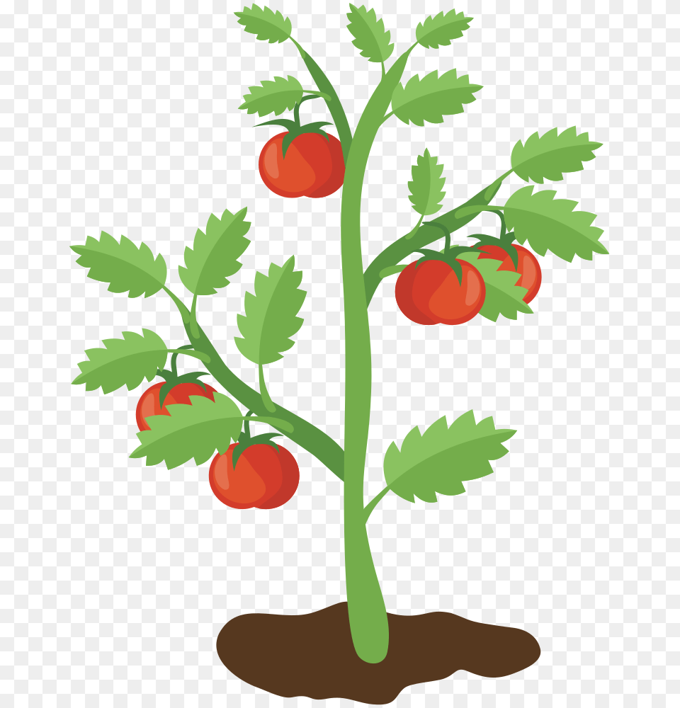 Onlinelabels Clip Art, Plant, Food, Produce, Tomato Free Transparent Png