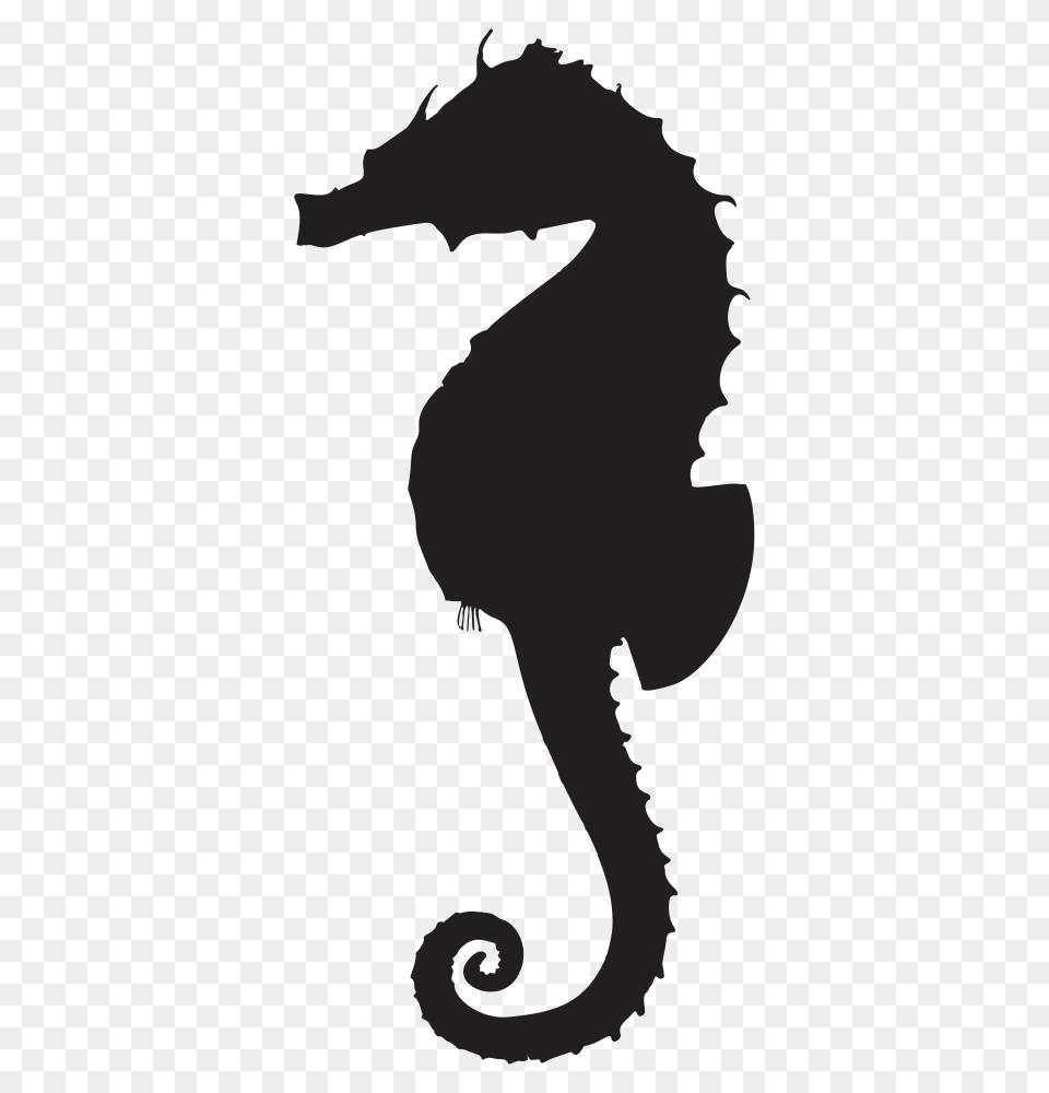 Onlinelabels Clip Art, Animal, Sea Life, Mammal, Person Free Png Download