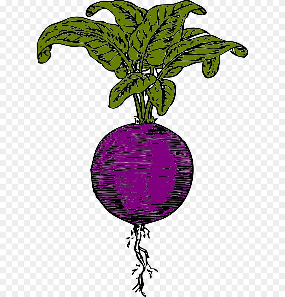 Onlinelabels Clip Art, Purple, Food, Produce, Leaf Png Image