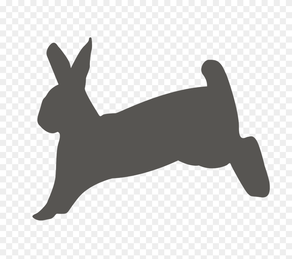 Onlinelabels Clip Art, Animal, Mammal, Rabbit, Kangaroo Png Image